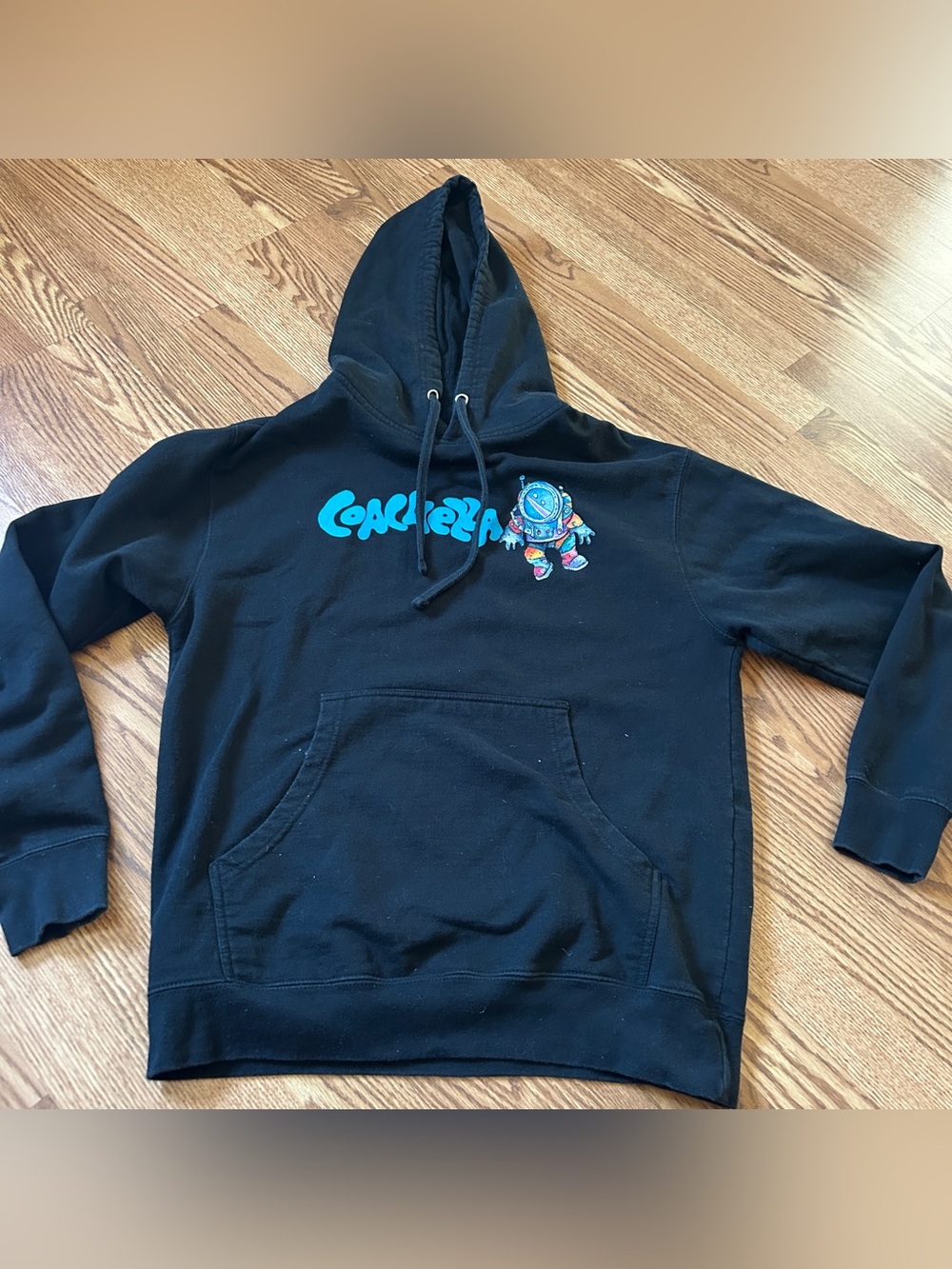 Coachella hooded sweatshirt
